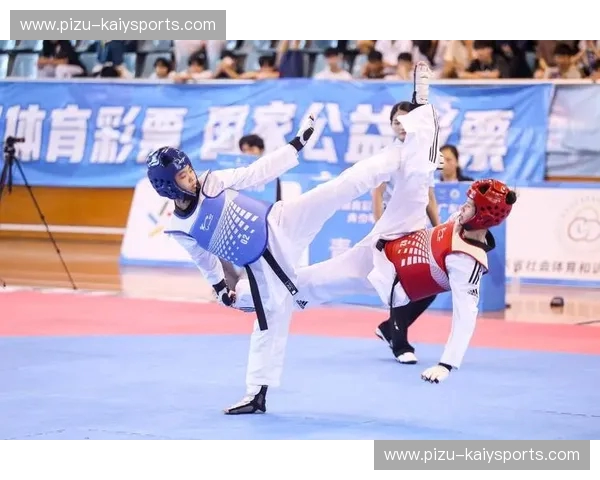 掌控战场：深度剖析跆拳道赛事的胜负密码